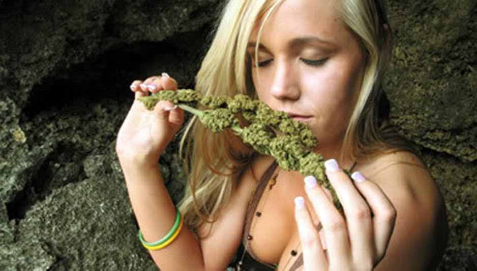 Weed Vaporizers